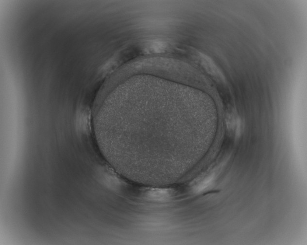 X0000111930332200908171242