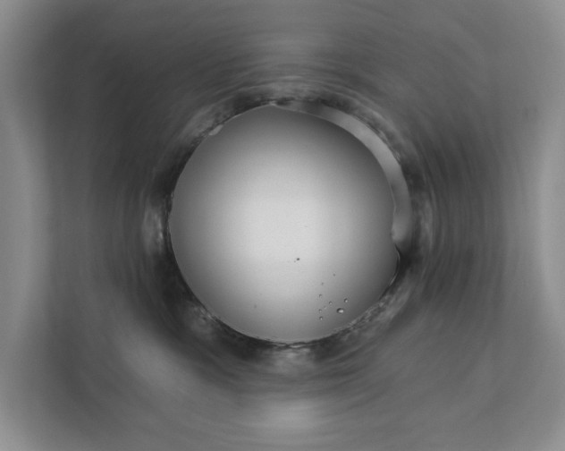 X0000111930333200908171242