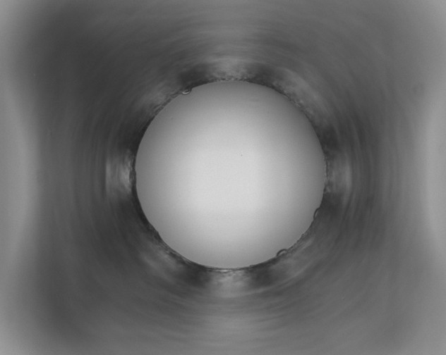 X0000111930334200908171242