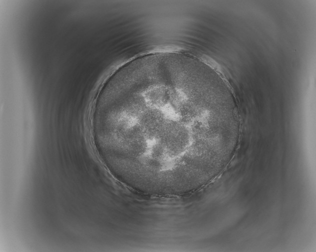 X0000111930337200908171241