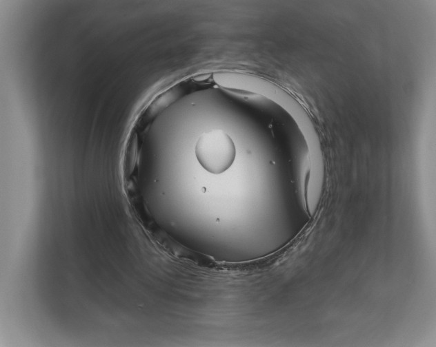 X0000111930340200908171241