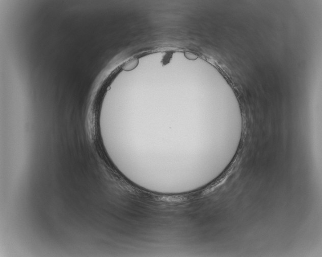 X0000111930343200908171241