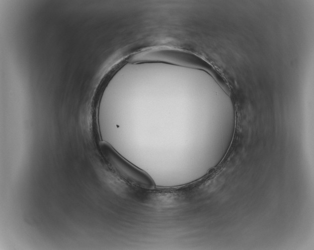 X0000111930344200908171241