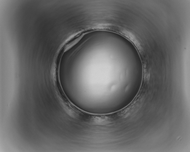 X0000111930346200908171241