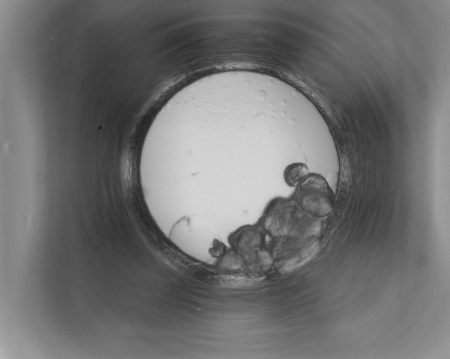 X0000111930347200908171241