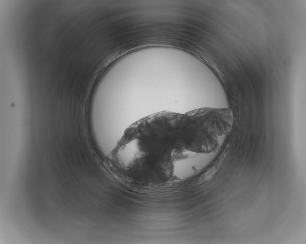 X0000111930349200908171241