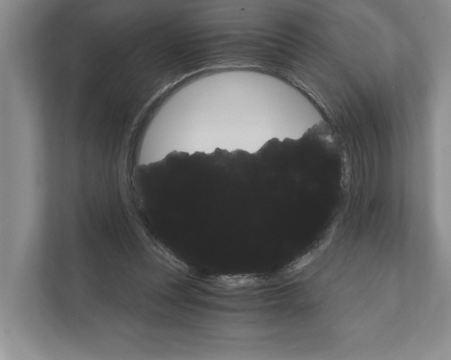 X0000111930351200908171241