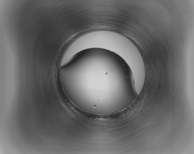 X0000111930352200908171241