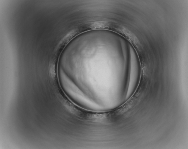 X0000111930353200908171241