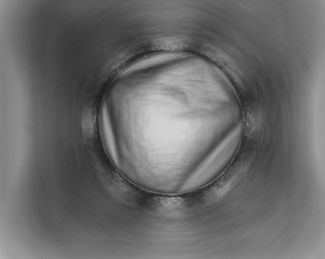 X0000111930355200908171241