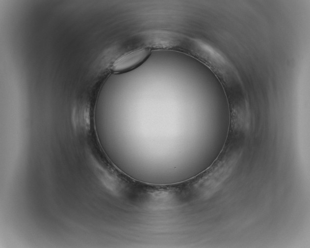 X0000111930358200908171241