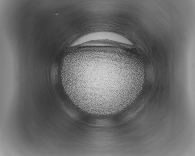 X0000111930360200908171241