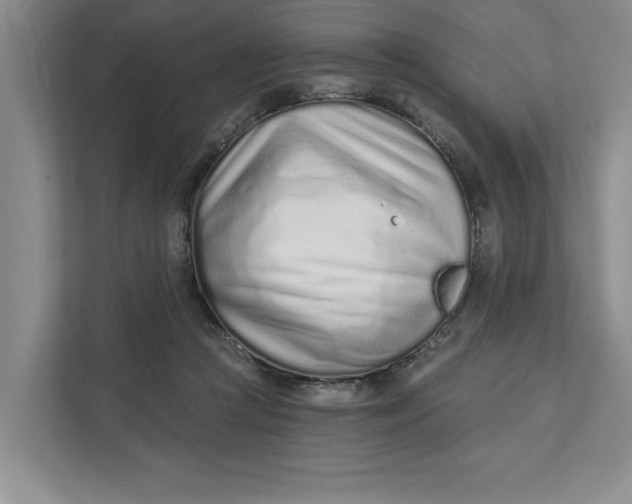 X0000111930361200908171241