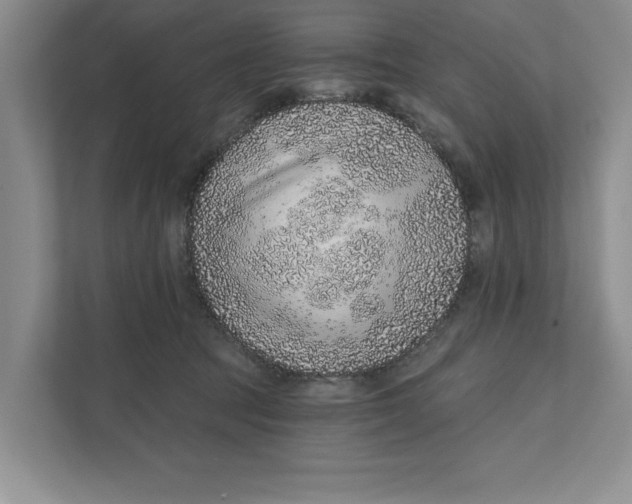 X0000111930369200908171241