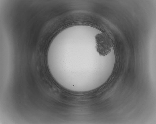 X0000111930370200908171241