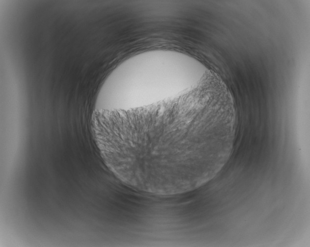 X0000111930371200908171241