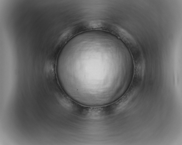 X0000111930373200908171241