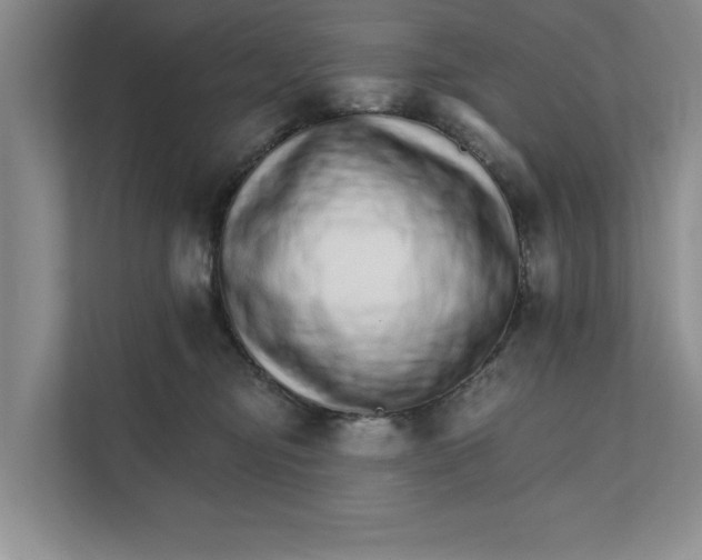 X0000111930374200908171241