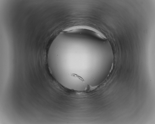 X0000111930376200908171241