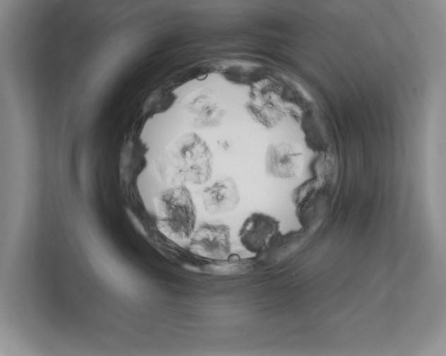 X0000111930381200908171242