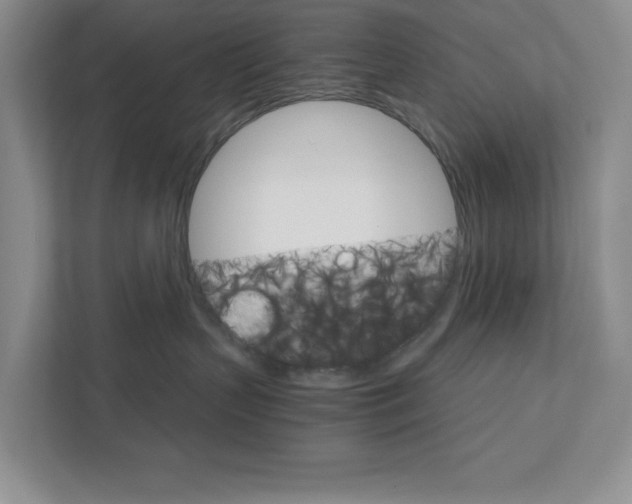 X0000111930383200908171242