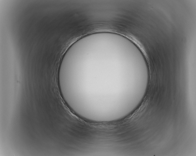 X0000111930385200908171241