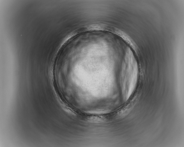 X0000111930386200908171241