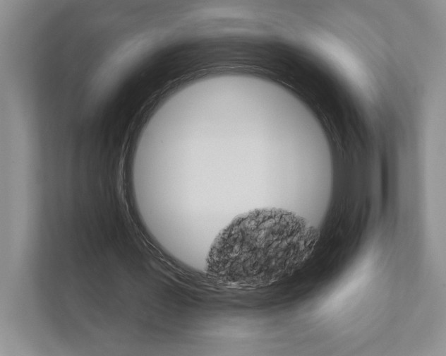 X0000111930387200908171241