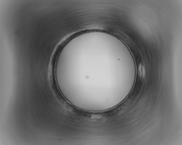 X0000111930388200908171241