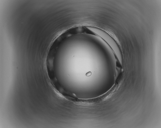 X0000111930389200908171241