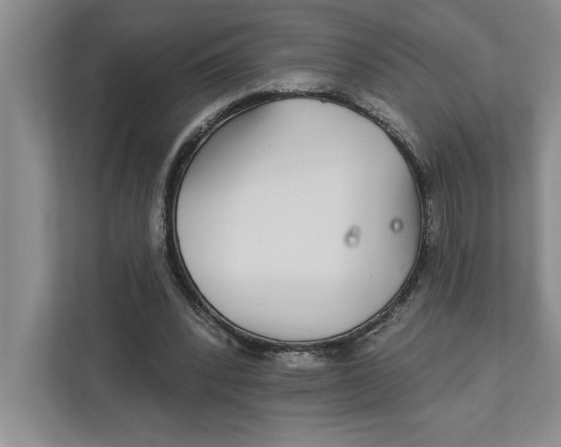 X0000111930392200908171241