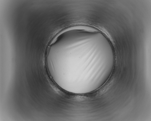 X0000111930393200908171241