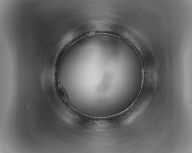 X0000111930395200908171241