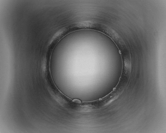 X0000111930396200908171241