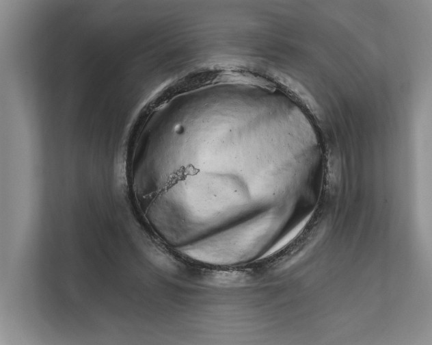 X0000111930399200908171241