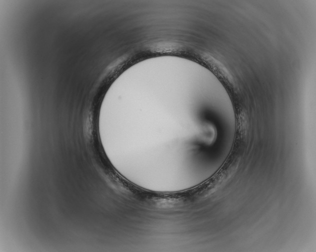 X0000111930400200908171241