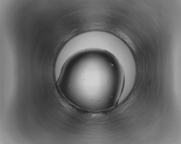 X0000111930401200908171241