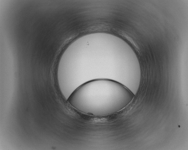 X0000111930403200908171241