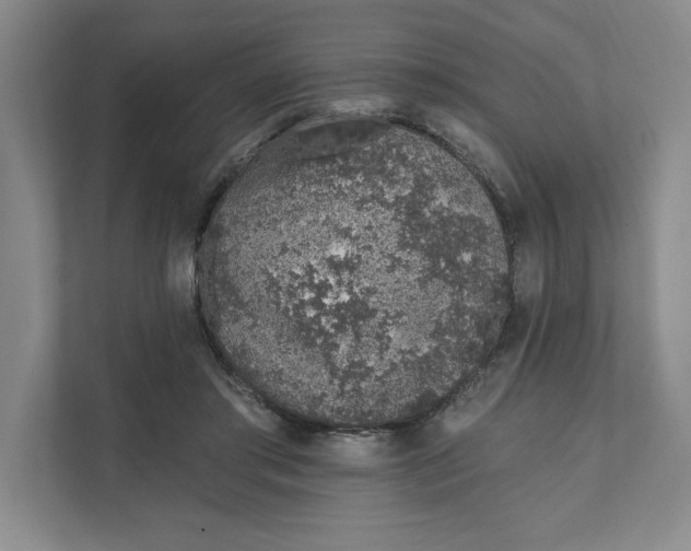 X0000111930405200908171241