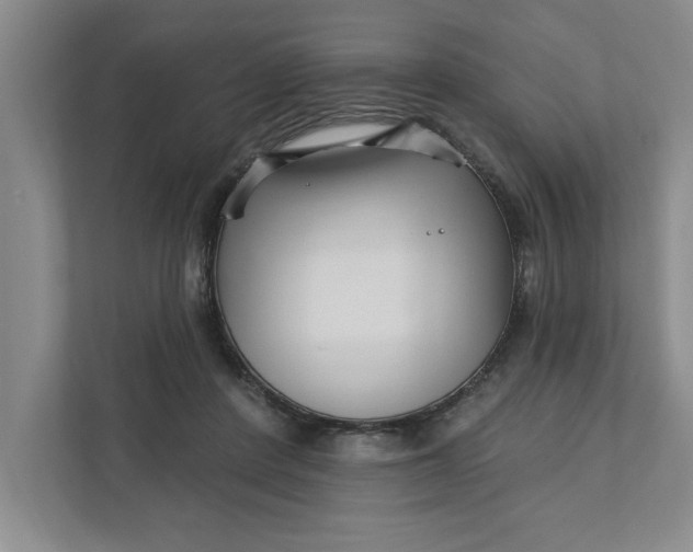 X0000111930408200908171241