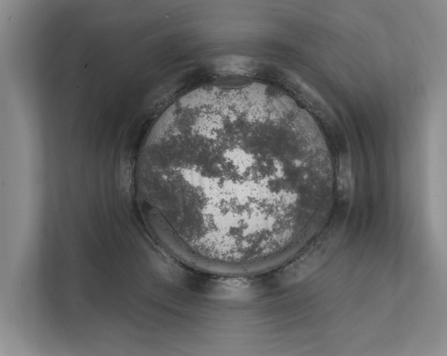 X0000111930409200908171241