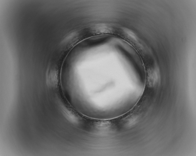 X0000111930410200908171241