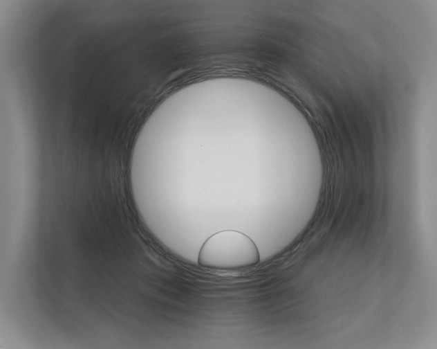 X0000111930413200908171241