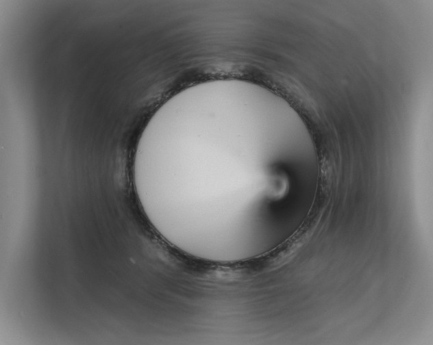 X0000111930416200908171240