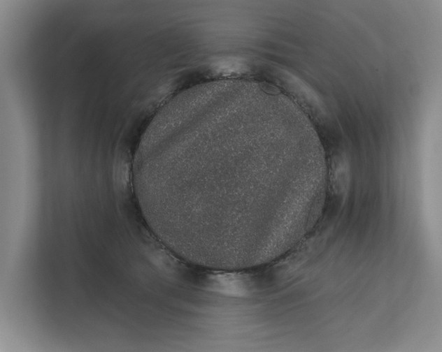 X0000111930417200908171240