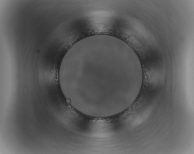 X0000111930419200908171240