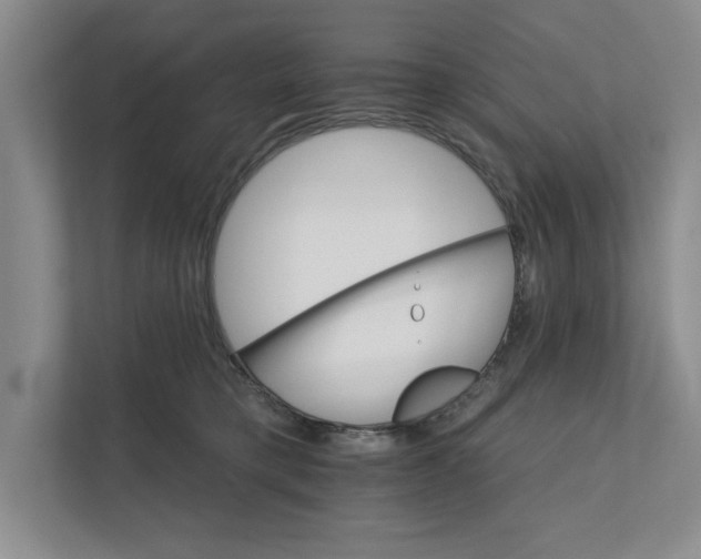 X0000111930421200908171240