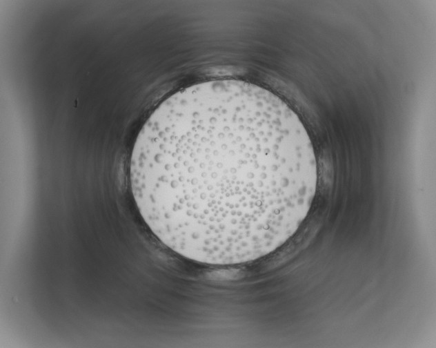 X0000111930422200908171240