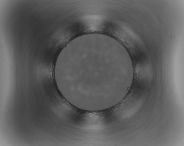 X0000111930423200908171240