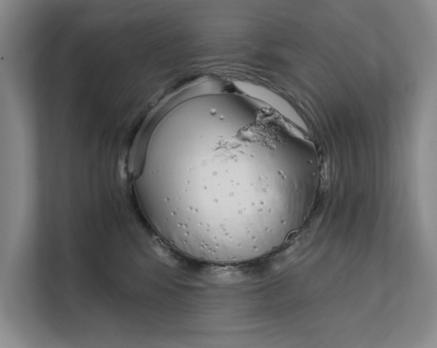 X0000111930424200908171240